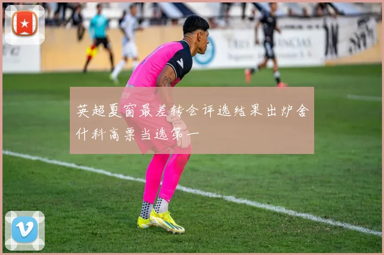 英超夏窗最差转会评选结果出炉舍什科高票当选第一